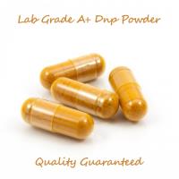 Dnp Weight Loss Drug For Sale image 1